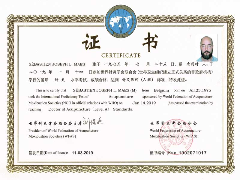 01_Diplome_shangai_Wofas_Maes_Sebastien_Acupuncture-D.A.---Osteo-Etiopathe-D.Oe_Tournai_osteopathie_Mons_Frasnes_Peruwelz_Tournai_Belgique