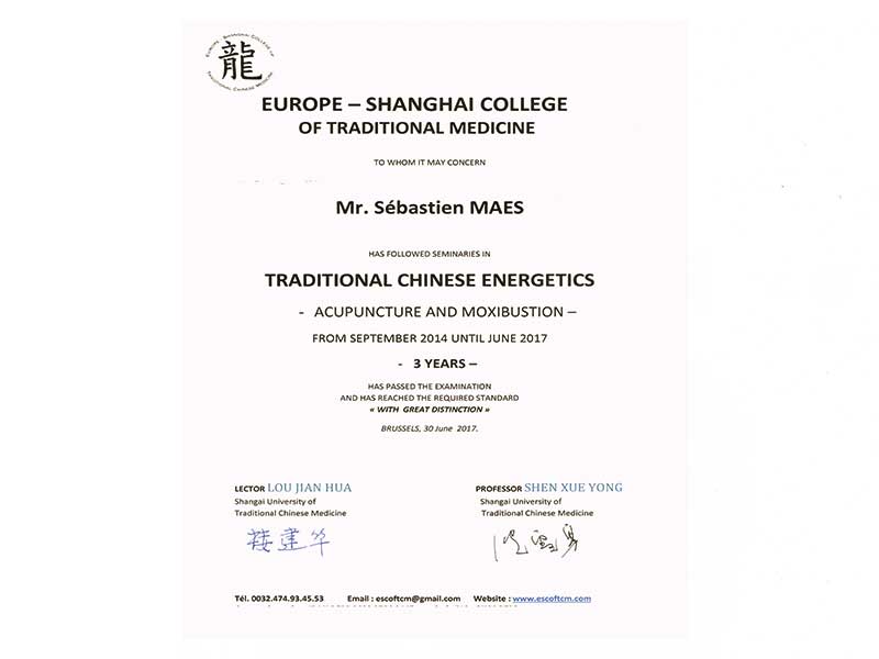 02_Diplome_shangai_Wofas_Maes_Sebastien_Acupuncture