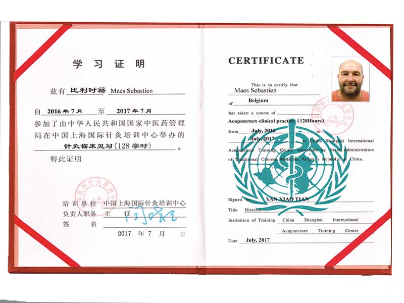 03_Diplome_shangai_Wofas_Maes_Sebastien_Acupuncture-D.A.---Osteo-Etiopathe-D.Oe_Tournai_osteopathie_Mons_Frasnes_Peruwelz_Tournai_Belgique