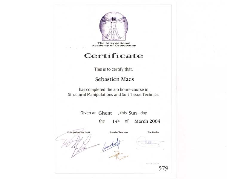 04_Diplome_shangai_Wofas_Maes_Sebastien_Acupuncture-D.A.---Osteo-Etiopathe-D.Oe_Tournai_osteopathie_Mons_Frasnes_Peruwelz_Tournai_Belgique